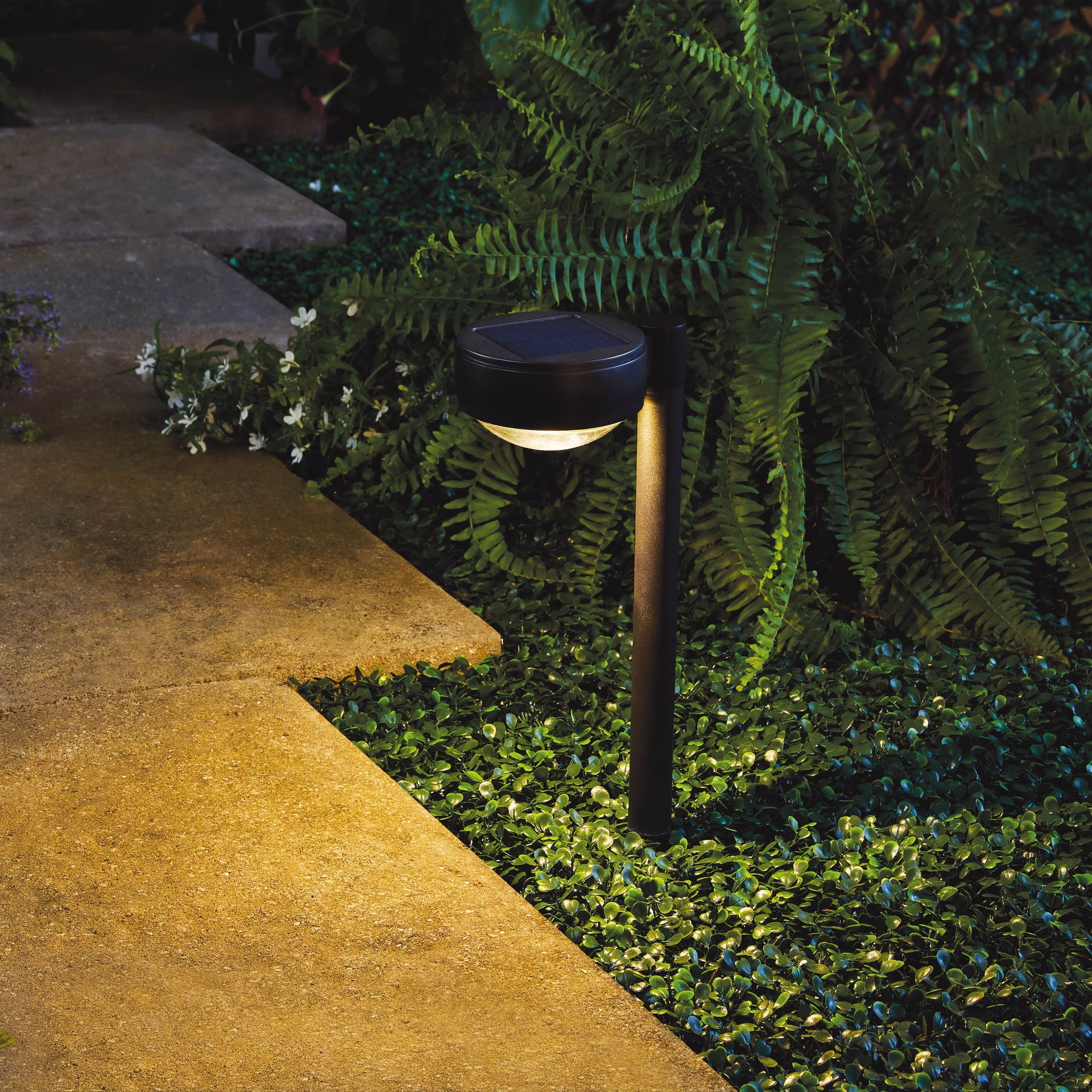Better Homes &amp; Gardens Solar Powered Black Dome Downlight Walkway and Landscape Light, 20 Lumens (4 Count)